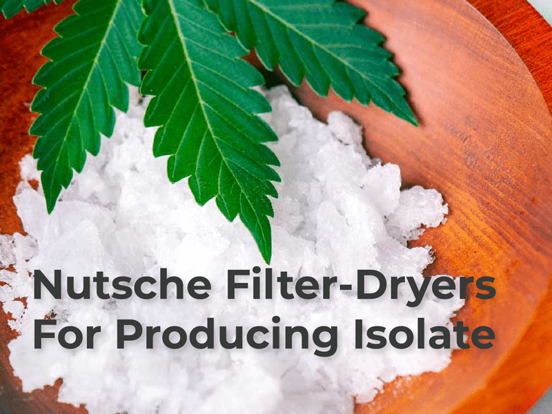 nutsche filter dryer producing cannabinoid isolate